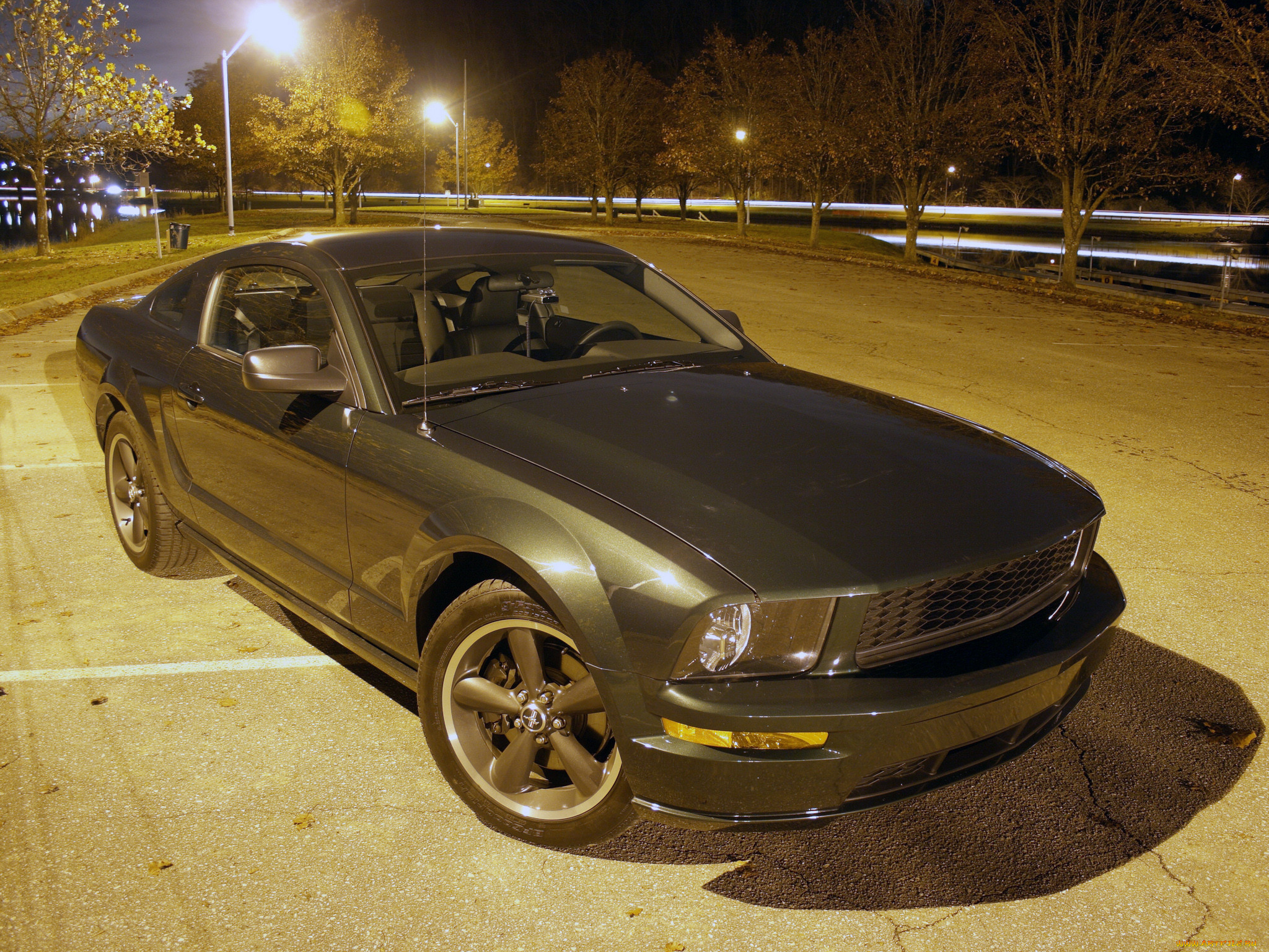 , mustang